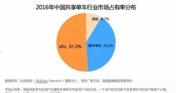 携手拍同款，真的能实现盈利吗？探索变现新途径