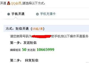 想找到QQ业务自助的低价平台吗？这里有什么不可错过的推荐？