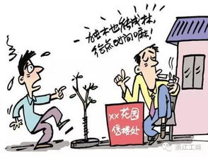 无人直播是否违法？犯法将面临几年刑罚？如何规避违规风险？