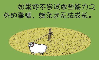 在家就能赚钱，不想学习也能行？轻松赚钱的方法有哪些？