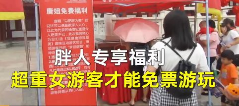 在平顺县，哪些生意能迅速盈利？