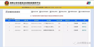 娄底市的交通违章可以自助处理了吗？探索违章自助平台的使用指南！