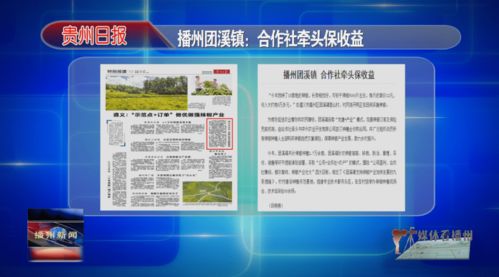 播州区自助团购哪家强？热门平台一网打尽！