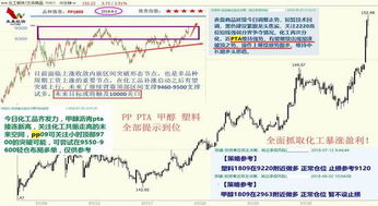 石子老板如何日进斗金？背后盈利模式大起底