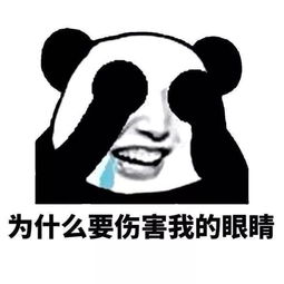 我竟然挣到钱了！你们猜我是什么表情？