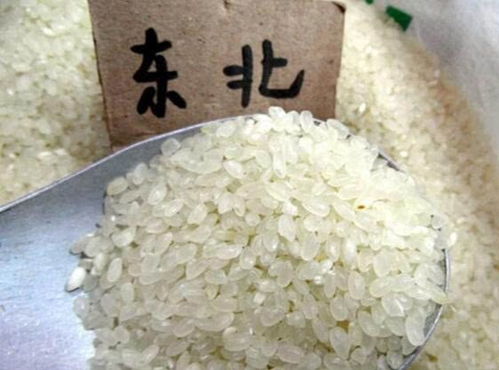 东北大米运至武汉，能否实现盈利？