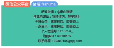 广东有哪些酒店自助探店平台？官网推荐指南来了吗？