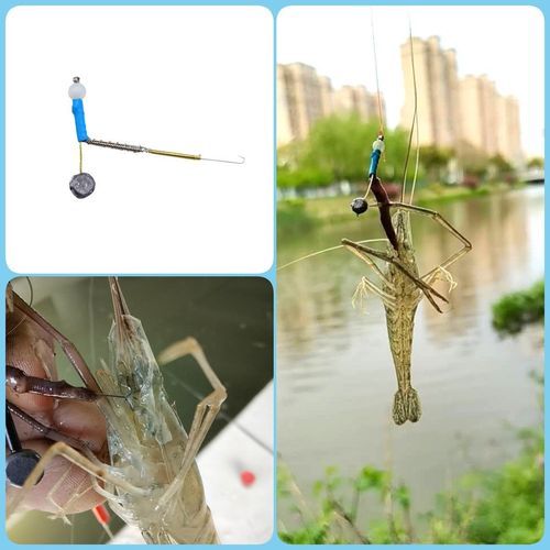 如何通过钓虾实现稳定收入？你真的了解这门生财之道吗？