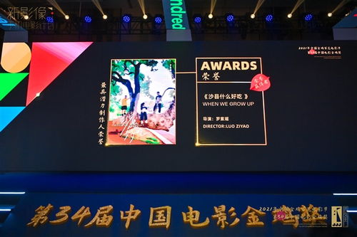 威海有哪些自助写作平台？官网带你探索最佳创作空间！