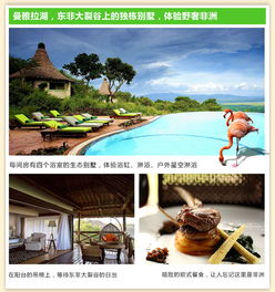 澄江地区有哪些自助团购平台值得推荐？探索本地热门团购选择！