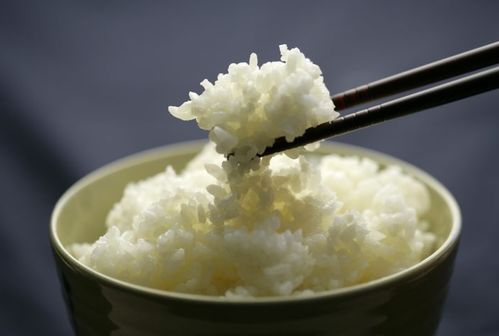 想要了解南阳米饭哪家强？这个自助测评网站能告诉你答案吗？