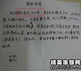 面对低薪困境，如何撰写一封得体的辞职信？