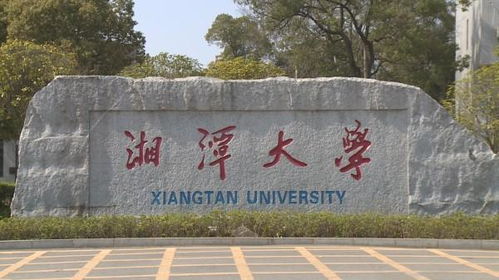 湘潭大学新生如何使用自助网站？这里有一份详细指南！