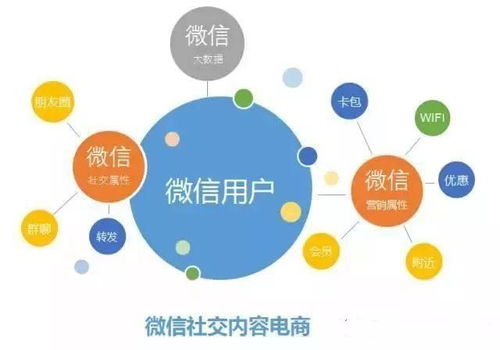 如何通过社交圈子实现盈利？有哪些有效途径？