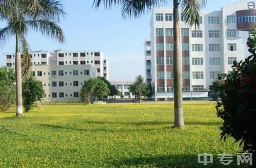 沧州技师学院究竟如何？教学质量与环境评价怎样？