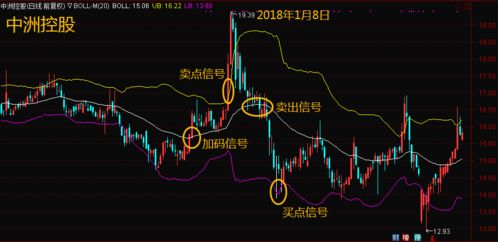 下载悦拜如何实现盈利？赚钱方法详解