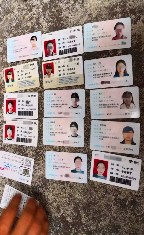 在家学生如何利用学生证轻松赚钱？方法有哪些？