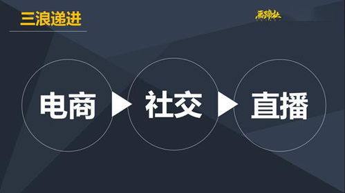 如何在风口浪尖捕捉财富机遇，实现快速盈利？