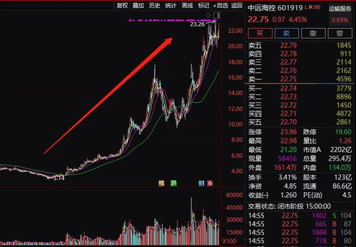 卖锦鲤真的能赚钱吗？新手入行需要注意什么？