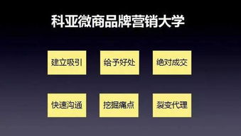 微商领域，女性创业者的成功率是否更高？