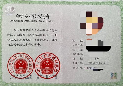 哪些科目涵盖在中级职称考试中？如何挑选既易通过又无年限限制的专业？