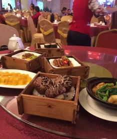 海口哪家自助烤肉店有直播？探索美食直播平台的新去处！
