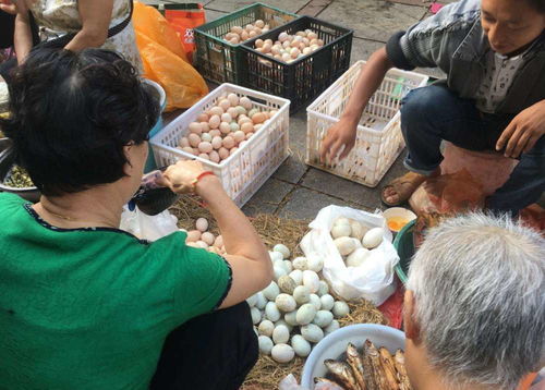 在成都摆地摊，哪种副业最赚钱且适合你？