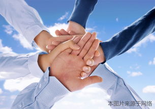 如何通过合作物流车队实现副业增收？