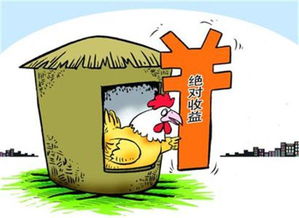 如何找到高收益的副业推广机会？你还在迷茫吗？