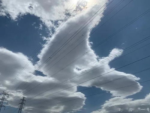 翱翔天空的拼音究竟是什么？它算不算一个成语？