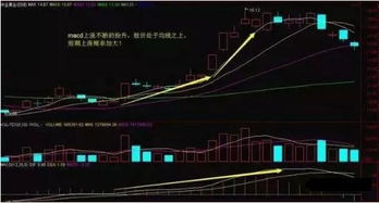 如何利用MACD指标实现炒股盈利最大化？
