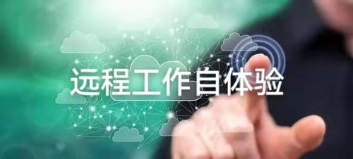 在山东从事远程工作，真的能赚到钱吗？贴吧热议解析