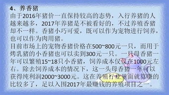 农村养殖哪种项目最赚钱？新手必看的选择指南