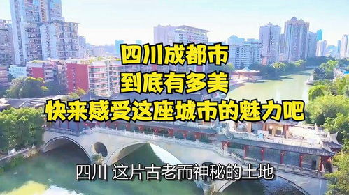 合肥最美副业究竟是什么？探寻这座城市的隐藏魅力