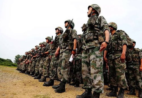 什么是义务兵？涵盖入伍时间、兵种类型及历史起源等全面解析