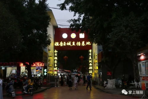 在瑞丽边城，哪种生意最具盈利潜力？