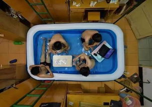如何通过创意DIY打造宿舍副业，实现额外收入？