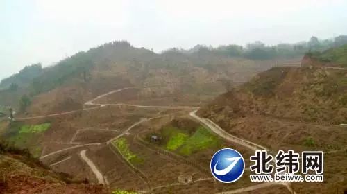 如何在70亩土地上种植实现最高收益？