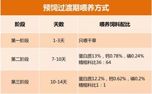 养什么能赚钱？寻找高收益养殖项目指南