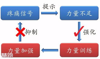 想了解步道乐跑的自助接单平台如何运作？这是否是跑步爱好者的新选择？