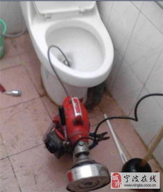 同城通下水道服务真的能带来可观的收入吗？