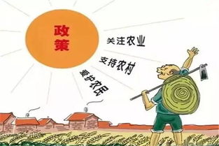 农村建高层真的能带来丰厚收益吗？