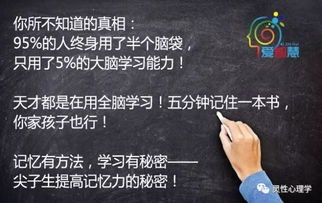想要开启投资副业之路，该如何高效学习与实践？