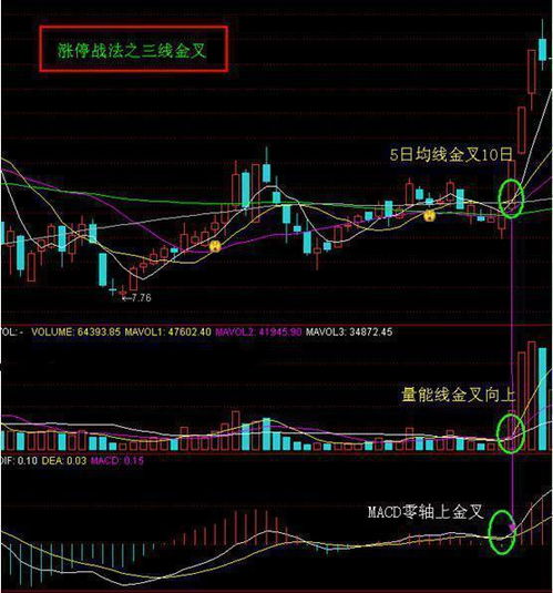 五万本金如何快速选择副业实现高效盈利？