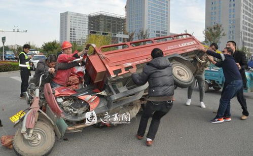 三轮车载红薯谋生，真的能赚钱吗？