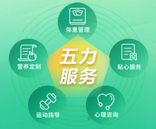 绿瘦自助平台究竟是什么？它如何帮助用户实现健康瘦身？