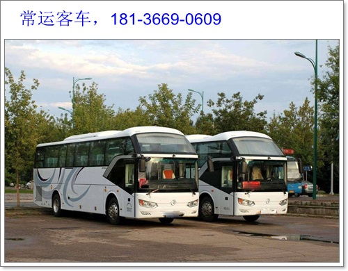 南沙大巴司机兼职现象普遍吗？他们如何平衡工作与生活？