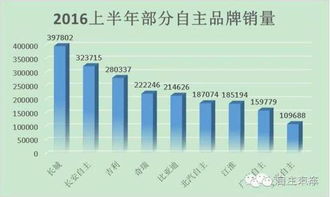哪家自主车企盈利能力最强？行业翘楚竟是他们！