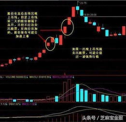 公开信息如何助力炒股盈利？掌握技巧稳赚不赔