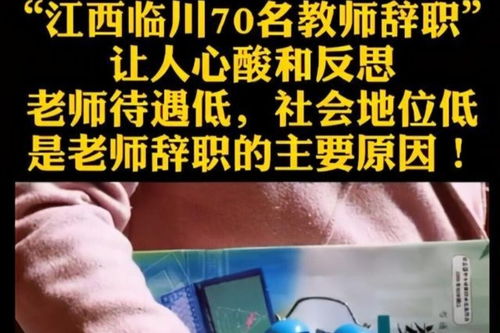学校教师为何纷纷寻求副业？背后原因令人深思